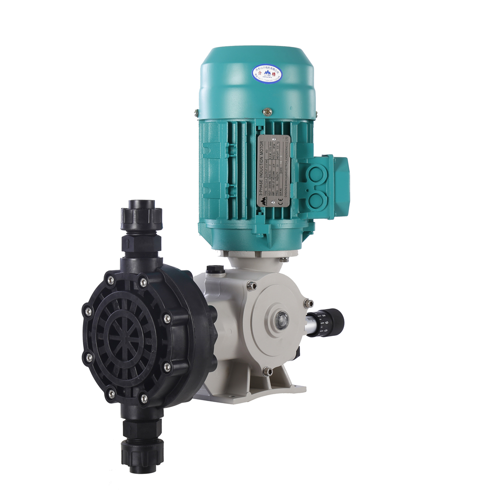 NEWDOSE HND SS316 mechanical diaphragm dosing metering pump